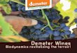 Demeter WinesDistinctive, elegant and well-balanced Demeter wines really shake up your references Demeter wines, produced from vigorous, ripe fruits, owe their quality to biodynamic