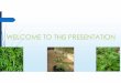 WELCOME TO THIS PRESENTATION - NUS Community · 2014-05-08 · Domestication status Table: ariation of the domestication levels of V Launaeataraxacifolia, Bidenspilosaand Alternantherasessilisacross