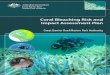 Coral Bleaching Risk and Impact Assessment Planelibrary.gbrmpa.gov.au/jspui/bitstream/11017/2810/4/Coral... · Web viewThis risk and impact assessment plan outlines the strategic
