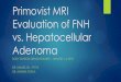 Primovist – MRI Evaluation of FNH vs. Adenoma · 2019-12-05 · Primovist Dosage of Primovist is comparably lower compared to non-specific agents – 0.025 mmol/kg vs 0.1 mmol/kg