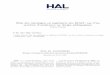 telearn.archives-ouvertes.fr · HAL Id: hal-00190048  Submitted on 23 Nov 2007 HAL is a multi-disciplinary open access archive for the deposit and 