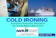 COLD IRONING - Results Directaapa.files.cms-plus.com/SeminarPresentations/05_Cruise_Maddison_Bob.pdf · JH004726a.ppt 17 JUNEAU PROJECT TECHNICAL COMPONENTS • Shore side electric