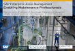 SAP Enterprise Asset Management Enabling Maintenance … · 2012-11-13 · SAP Enterprise Asset Management Enabling Maintenance Professionals Pieter van Daal ... User-friendly UI