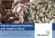 Fish for Improved Nutrition and Health in Africa · Fish for Improved Nutrition and Health in Africa Presentation prepared by Dr. Malcolm Beveridge, Tabeth Matiza Chiuta and Joseph