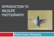 INTRODUCTION TO WILDLIFE PHOTOGRAPHY 2014-08-05آ  Why Wildlife Photography? One of the more challenging