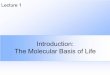 Introduction: The Molecular Basis of Lifecsci.viu.ca/~barskym/teaching/COMPBIO/Lecture1_1.MolecularBasisLife.pdf · The Molecular Basis of Life ... Male heredity Anton van Leeuwenhoek