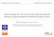 New strategies for the enrichment of phosphorylated ... · New strategies for the enrichment of phosphorylated proteins using precipitation methods by metal cations Matthias Rainer,