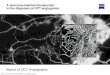 A structure-oriented introduction to the diagnosis of OCT ... · vascular pattern. In the case of pathological changes, for instance the occurrence of neovascular vessel structures,
