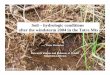 Soil – hydrologic conditions after the windstorm 2004 in ...Soil – hydrologic conditions after the windstorm 2004 in the Tatra Mts Peter Fleischer Research station and Museum of