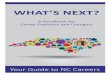 WHAT’S NEXT? · occupations within that cluster that correspond to your interests in the Career Cluster Matrix on page 8. ... S Drive a package delivery truck S Test the quality