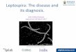 Leptospira: The disease and its diagnosis.leptospirosis.org.nz/Portals/0/Images/News/Leptoforum_2017_Julie_Collins-Emerson.pdfclassification systems for Leptospira. •Genetically