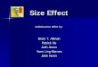 Size Effect - The College of Business · Size Effect Outline CAPM EMH ... Efficient Market Hypothesis Weak-Form EMH – – Prices on traded assets (stocks, bonds, or property) already