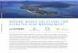 NATURE-BASED SOLUTIONS FOR DISASTER RISK MANAGEMENTdocuments.worldbank.org/curated/en/253401551126252092/pdf/134847-NBS... · NATURE-BASED SOLUTIONS FOR DISASTER RISK MANAGEMENT Nature-based