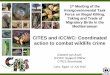 ICCWC: practical action to combat wildlife crime · –Special Investigative Techniques –Manual for Controlled Deliveries –A Technique For Investigating Wildlife Crime –Manual