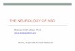 THE NEUROLOGY OF ASD - idahotc.comidahotc.com/Portals/57/Course Files/ASDNBI/brains_1_per_slide.pdfTHE NEUROLOGY OF ASD Brenda Smith Myles, Ph.D. NOT ALL SLIDES ARE IN YOUR HANDOUTS