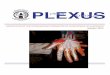 PLEXUS - IFAA · • Although not essential, good practice is encour-aged by having the next of kin also sign the ... The big questions of what, when and how to teach clinical anato-my