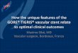 How the unique features of the GORE® TIGRIS® vascular ... · How the unique features of the GORE® TIGRIS® vascular stent relate to optimal clinical outcomes Maxime Sibé, MD Vascular