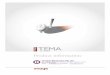 Product info TEMA Motion · TEMA Motion is the world leading software for advanced motion analysis. Starting with digital image sequences the operator uses TEMA Motion to track objects