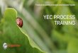 YEC PROCESS TRAININGUSSE Uses Cognos Controller to Produce the Financial Statement documents: Banner is uploaded to Cognos the day after P14 closes (7/24/18 this FY) Needed adjustments