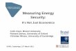 Measuring Energy Security - University of ExeterMeasuring Energy Security: It’s Not Just Economics Colin Axon, Brunel University Richard Darton, University of Oxford Christian Winzer,