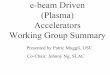 e-beam Driven (Plasma) Accelerators Working Group Summary...e-beam Driven (Plasma) Accelerators Working Group Summary Presented by Patric Muggli, USC Co-Chair: Johnny Ng, SLAC. 
