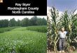 Ray Styer Rockingham County North Carolina...Ray Styer Rockingham County North Carolina Ray Styer is a retired Dairy Farmer. He no longer runs dairy cows. He raises corn silage for