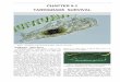 1 CHAPTER 5-1 TARDIGRADE SURVIVAL · 12/5/2010  · 1 CHAPTER 5-1 . TARDIGRADE SURVIVAL. Figure 1. Dactylobiotus on the green alga Spirogyra.Photo by Yuuji Tsukii. Tardigrades –