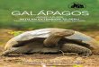 GALÁPAGOS · 2019-02-25 · passing sea turtles, snorkel with playful sea lions, hike lava fields crowded ... instructor, a specially trained naturalist who will offer tips to ensure