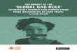 THE IMPACT OF THE ‘GLOBAL GAG RULE’ · The Impact of the ‘Global Gag Rule’: A Case Study 3 Difficulties with access to state-funded services Despite this progressive TOP legislative