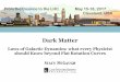 Dark Matter - Case Western Reserve Universityartscimedia.case.edu/wp-content/uploads/sites/206/... · dark matter The dark matter distribution is specified by the baryon distribution