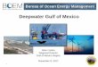 Deepwater Gulf of Mexico - BOEM...Of this Gulf production, wells in deepwater produced 82 percent of the oil and 54 percent of the natural gas. It is the primary offshore source of