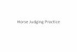 Horse Judging Practice - Humble Independent School District · 2 Year Old Quarter Horse Geldings Placings: 1-2-4-3 Cuts: 3-3-2 Starting with the pair of nicer balanced, heavier muscled