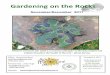 Gardening on the Rocks - Sudbury Horticultural Society · 2017-11-06 · Gardening on the Rocks November/December 2017 Rhyisma acerinum (tar spot) is a common pathogen on Norway maples