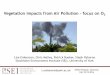 Vegetation Impacts from Air Pollution focus on O3 · l.emberson@york.ac.uk HTAP, Potsdam, Germany Feb 18-19 2016 Vegetation Impacts from Air Pollution – focus on O 3 Lisa Emberson,