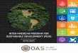 INTER-AMERICAN PROGRAM FOR SUSTAINABLE DEVELOPMENT … · 11 Inter- o fo tainable von 2016-2021 ACRONYMS AND ABBREVIATIONS 2030 Agenda 2030 Agenda for Sustainable Development CIDI
