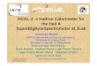 HCAL-J: a Hadron Calorimeter for the Hall A ...newcleo.unime.it/Events/DHF2014/talks/Bellini.pdfVincenzo Bellini International Conference Dark Matter, Hadron Physics and Fusion Physics