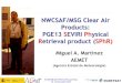 NWCSAF/MSG PGE13 SEVIRI Physical Retrieval product (SPhR ... · SEVIRI BTs Cloud masking BTs Bias adjustment and averaging Forecast NWP T,q,T skin Spatial, vertical and temporal interpolated