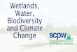 Wetlands, Water, Biodiversity and Climate Change · Wetlandsare areas of marsh, peatland or water, whether natural or artificial, permanent or temporary, with water ... Scientific