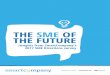 THE SME OF THE FUTURE · 3 The SME of the future: Insights from SmartCompany’s 2017 SME Directions survey Introduction If SmartCompany readers have anything to say about the future,