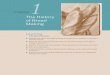 chapter 1 The History of Bread - John Wiley & Sons · 2 CHAPTER 1 THE HISTORY OF BREAD MAKING ... Those grains were the early ancestors of today’s bread wheat. It is thought 