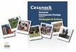 Cessnock City Counci EDS Volume 1... · Cessnock City Counci. PO Box 152. Cessnock NSW 2325 . Tel: (02) 4993 6750 . ... 11 Competitive Advantages and Disadvantages 13 Challenges Facing
