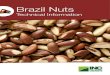 Brazil Nuts - Dried fruit · 2019-08-27 · Brazil Nuts / 1. General Information The fruit of the Brazil nut tree is a large, round capsule (10-12 cm in both diameters), with a hard,