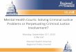 Mental Health Courts: Solving Criminal Justice Problems or … · 2015-09-22 · Some Reflections on Mental Illness & Criminal Justice From a Practitioner Perspective Individuals