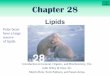 Chapter Outline Chapter 28 - integratedwisdom.orgintegratedwisdom.org/yahoo_site_admin/assets/docs/ch28.15201301.pdf · Chapter Outline 14 Simple Lipids Unsaturated fatty acids exist