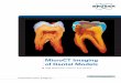 MicroCT Imaging of Dental Models - RJL Micro & Analytic · 2019-04-11 · Periodontics & Orthodontics ... X-ray micro-computed tomography (microCT) is one of the most advanced methods