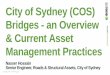 City of Sydney (COS) Bridges - an Overview & Current Asset Management Practices · –includes operations, maintenance and capital renewal expenditure. ... reflect already consumed