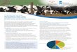 Profitable dairy farming: Managing diet and pasture to ... · Profitable dairy farming: Managing diet and pasture to increase profit and reduce emissions Managing diet to improve