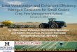 Urea Volatilization and Enhanced Efficiency Nitrogen ...landresources.montana.edu/soilfertility/documents... · Urea Volatilization and Enhanced Efficiency Nitrogen Fertilizers for