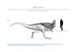Dinosaurios Locos.docx - Web view Triceratops The Triceratops adult weighed about 9 tons. It measured
