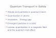 Quantum Transport in Solids - Astronomykane/pedagogical/295lec2.pdfQuantum Transport in Solids • Waves and particles in quantum mech. • Quantization in atoms • Insulators : Energy